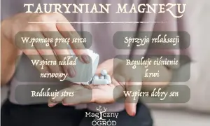 Taurynian magnezu: wspiera serce, układ nerwowy, relaksację, reguluje ciśnienie krwi, redukuje stres i wspiera sen. Brak informacji o skutkach ubocznych.