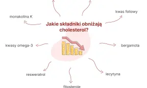Monakolina K, choć skuteczna w obniżaniu cholesterolu, może mieć skutki uboczne. Grafika pokazuje inne składniki obniżające cholesterol.