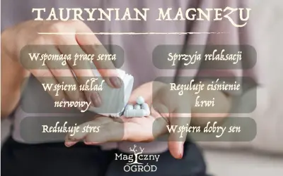 Taurynian magnezu: wspiera serce, układ nerwowy, relaksację, reguluje ciśnienie krwi, redukuje stres i wspiera sen. Brak informacji o skutkach ubocznych.