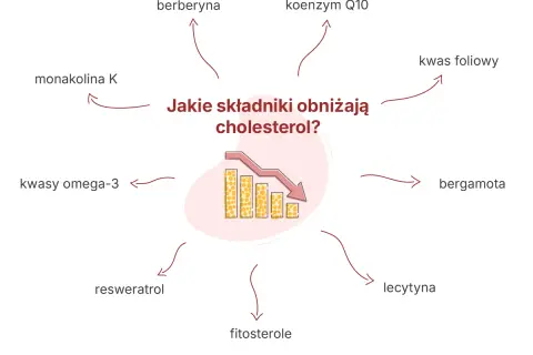 Monakolina K, choć skuteczna w obniżaniu cholesterolu, może mieć skutki uboczne. Grafika pokazuje inne składniki obniżające cholesterol.