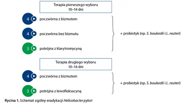 Leki na Helicobacter pylori: skuteczne terapie i jak uniknąć powikłań