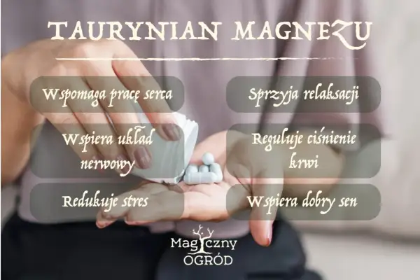 Taurynian magnezu: wspiera serce, układ nerwowy, relaksację, reguluje ciśnienie krwi, redukuje stres i wspiera sen. Brak informacji o skutkach ubocznych.